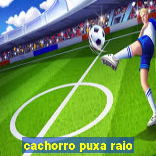 cachorro puxa raio